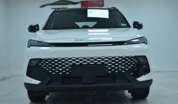 
										2024 BAIC Beijing X55 1.5T Premium full									